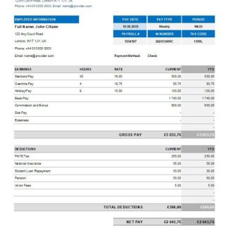 Company Salary Pay Stub Template download template file
