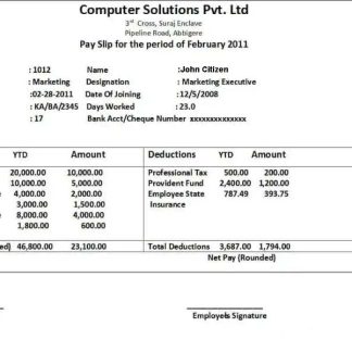 Computer corporation payroll template in Excel and PDF formats download template file