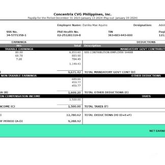 COMPUTER solutions Pvt. Ltd in Word and PDF formats download template file