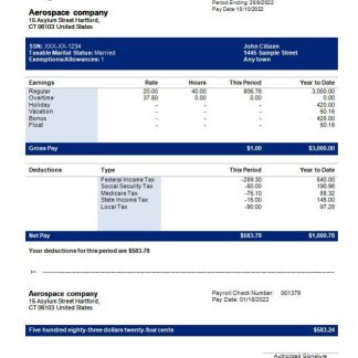 Aerial Telecom Solutions payslip template in Word and PDF formats.pdf, 2 download template file