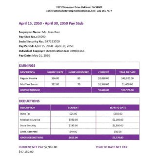 Construcion LLC earnings statement download template file