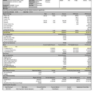 Corporate Pay Stub Template download template file