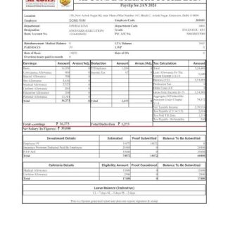 Aerospace company earning statement in Word and PDF formats download template file