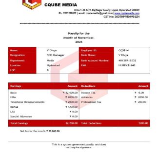 corporation pay stub Word and PDF template download template file