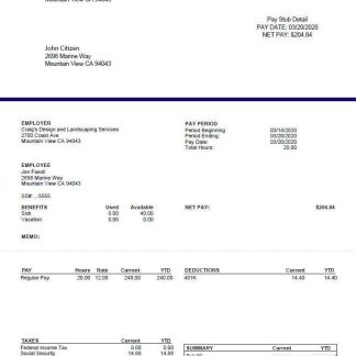 Costco Wholesale Corporation pay statement template in Word and PDF formats.pdf, 1 download template file