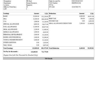 CRAIG'S Design and Landscapin Services pay stub in Word and PDF formats download template file