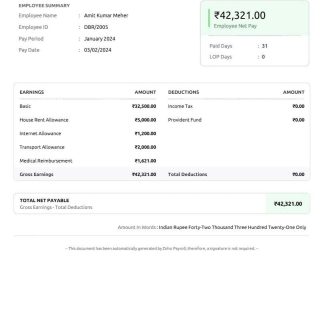 Current YTD Amount earnings statement download template file