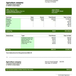 Afcons Infrastructure payslip template in Word and PDF formats.pdf, 1 download template file