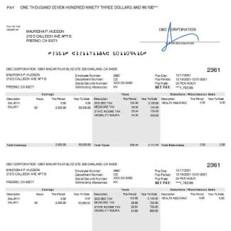 DARKBLUE pay stub Word and PDF template download template file