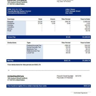 Dasilva's Maids pay stub template in Word and PDF formats.pdf, 1 download template file