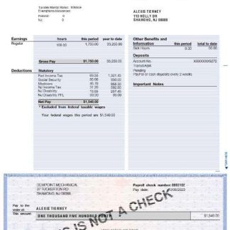 Delores Douglas Paystub download template file