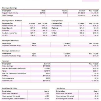 dermatology company paystub template in Word and PDF formats download template file