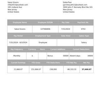 digital publishing company paystub template in Word and PDF formats download template file