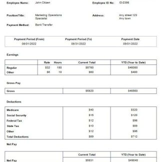 Divine Academic Solutions payslip template in Word and PDF formats.pdf, 1 download template file