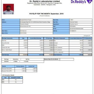 DollarTree earning statement template in Word and PDF formats.pdf, 1 download template file