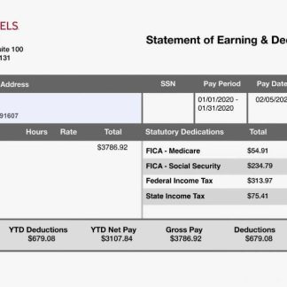 domain name registration company payslip template in Word and PDf formats download template file