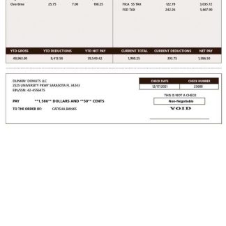 Dr. Reddy's Laboratories Limited pay stub in PDF and Word format download template file