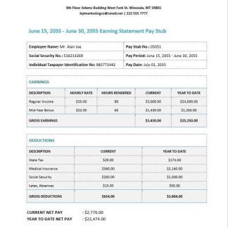 DRURY HOTELS EARNING STATMENT in PDF and Word formats download template file