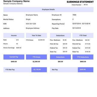 Earning Statement Pay Stub Template download template file