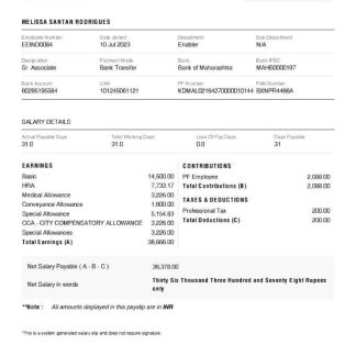 earnings pay stub template in Word and PDF formats.pdf, 1 download template file