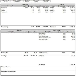 AGS Health management company payslip template in Word and PDF formats.pdf, 1 download template file