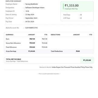 EARNINGS statement template Word and PDF format, version 2 download template file