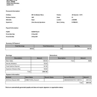 EdgeNRoots Solutions payslip template in Word and PDF formats.pdf, 1 download template file