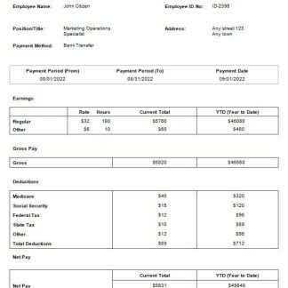 Education company fully editable payslip template in Word and Excel formats download template file