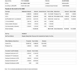Electric power pay stub template in Word and PDF formats download template file