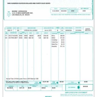 Eli Lilly Services India pharmaceutical company payslip template in Word and PDF formats.pdf, 1 download template file