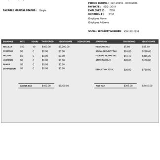 email services company earning statement in Word and PDf formats download template file