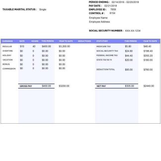 employee's pay statement template in Word and PDF formats.pdf, 1 download template file
