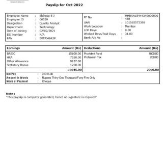 Air Doctor Paystub download template file