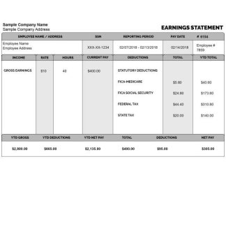 EMPLOYEE earnings statement template Word and PDF format download template file