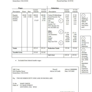 EMPLOYEE earnings statement template Word and PDF format version 8 download template file