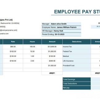 Employee pay stub version 3  PDF and Word formats download template file