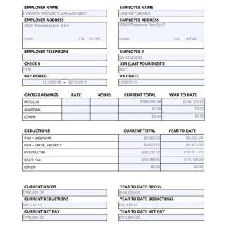 EMPLOYEE pay stub Word and PDF template, version 4 download template file