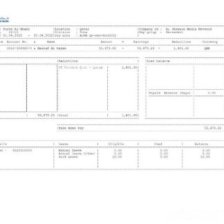 Airpay Payment Services payslip template in Word and PDF formats.pdf, 1 download template file