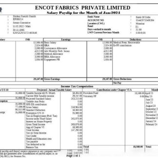 Employee Paystub Edited download template file