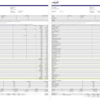 Engineering company payslip template in Word and PDF formats download template file