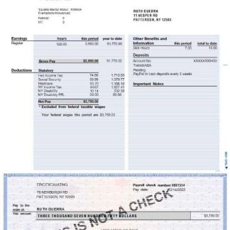 Ensavior Technologies payslip template in Word and PDF formats.pdf, 1 download template file