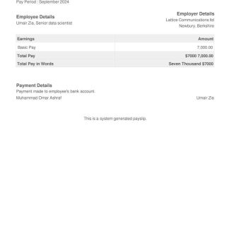 Epayroll Motiva company pay stub in PDF and Word formats download template file