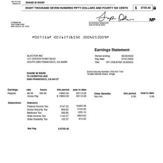Al Jazeera Media Network pay stub template in Word and PDF formats.pdf, 1 download template file