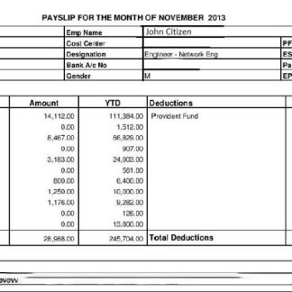 Equinix India Professional Services payslip template in Word and PDF formats.pdf, 1 download template file