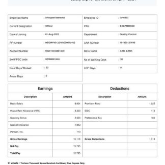 equipment testing company payslip template in Word and PDF formats.pdf, 1 download template file