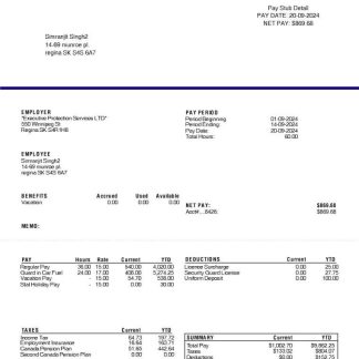 ERICSSON networking and telecommunications company paystub in Word and PDF formats download template file