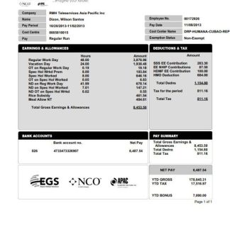 Eris Lifesciences salary slip template in Word and PDF formats.pdf, 1 download template file