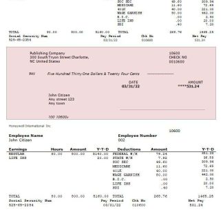 ETC Agro Processing India payslip template in Word and PDF formats.pdf, 1 download template file