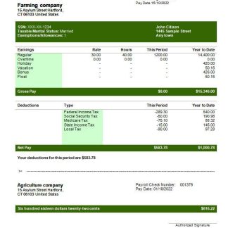 extrim sport company fully editable earning statement in Word and PDF formats download template file