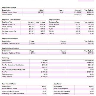 Family Economics & Financial Education paycheck stub Word and PDF template download template file